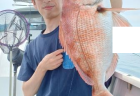 7/2　キス釣果