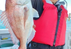 5/4　タイ・アコウ釣果