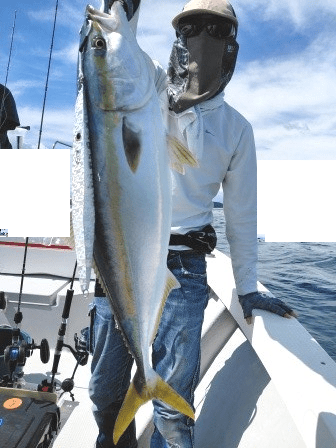 9/21　ハマチ釣果