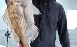 4/19　タイラバ釣果