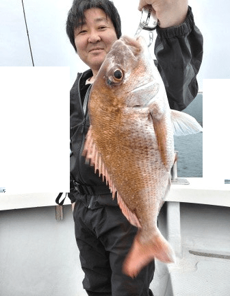 5/3　タイラバ釣果