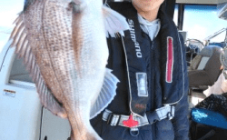5/5　タイラバ釣果