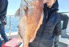 5/10　タイ・アコウ釣果