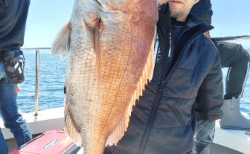 5/10 タイ・アコウ釣果