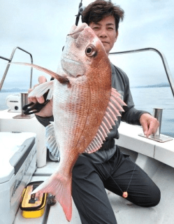 タイラバ・アコウ釣果