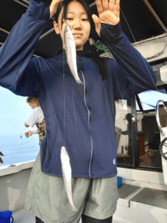 8/15　キス釣果