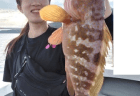 8/16　タイラバ釣果