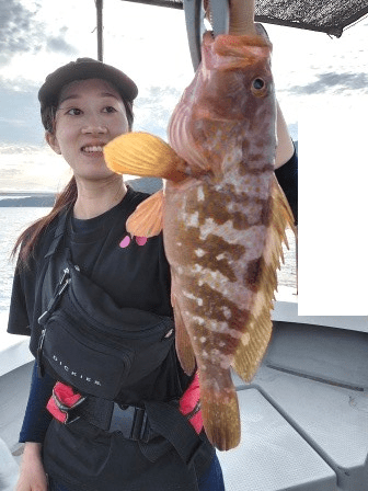 8/16　タイラバ釣果