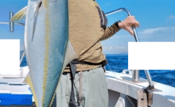 10/10・11　ハマチ釣果